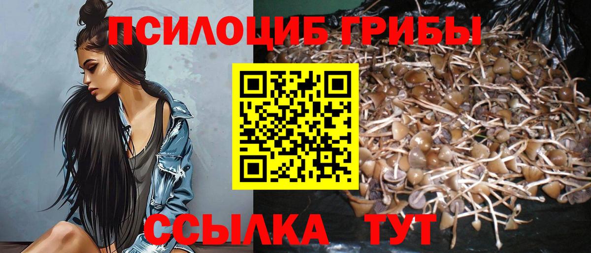 Галлюциногенные грибы мицелий Астрахань