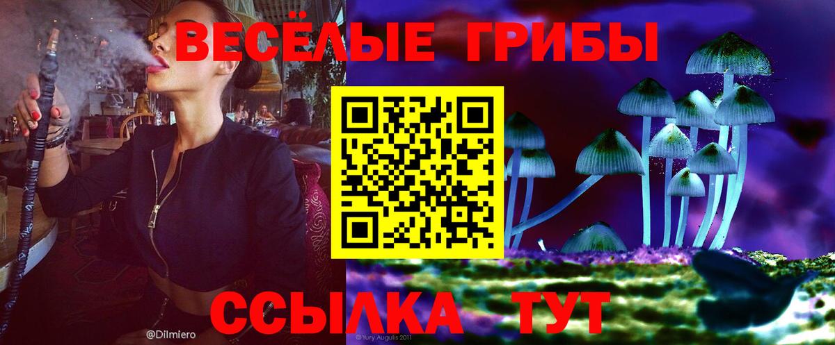 Псилоцибиновые грибы мицелий  Вход с VPN  Астрахань 